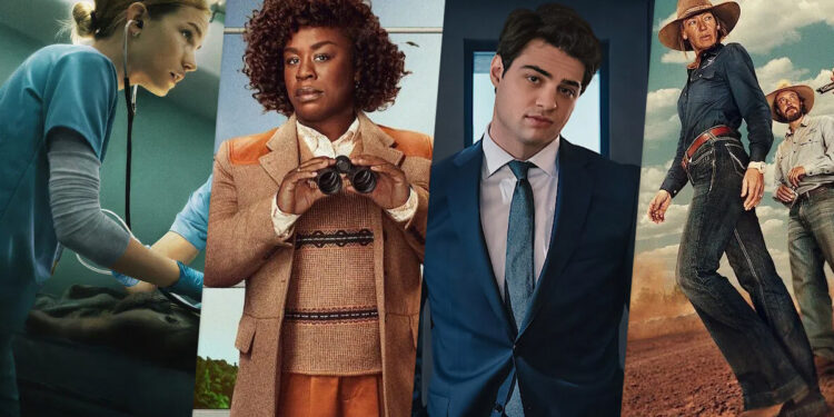 canceled netflix shows 2025